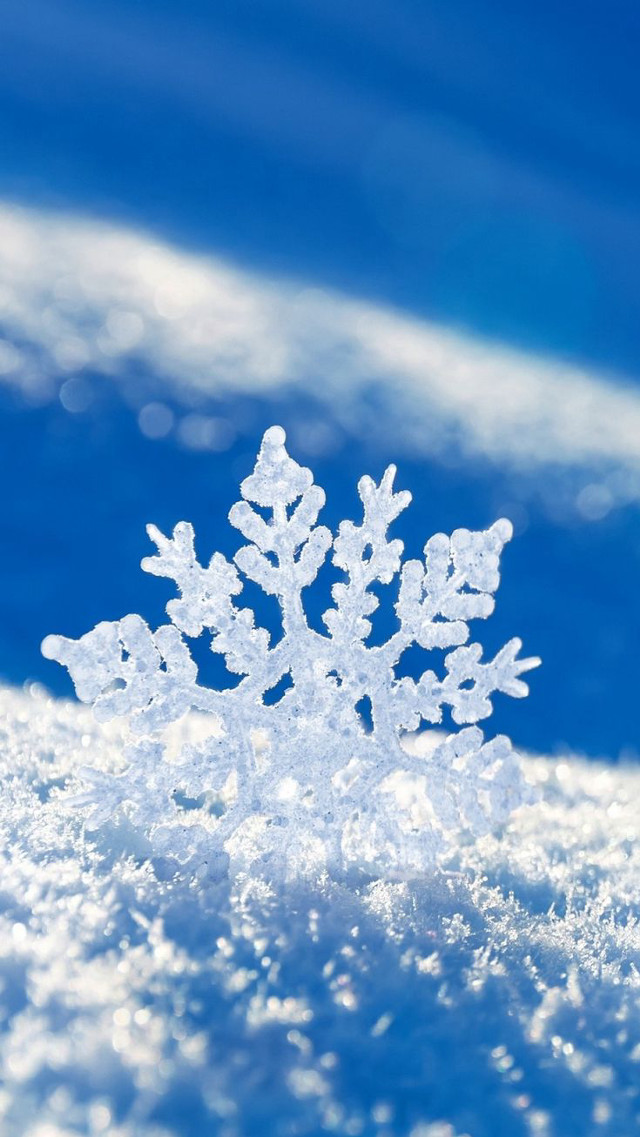Snowflake sunny day blue sky free wallpaper for mobile - medium preview image