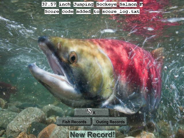 Fish swimming water rocks caption free wallpaper for desktop - medium preview image