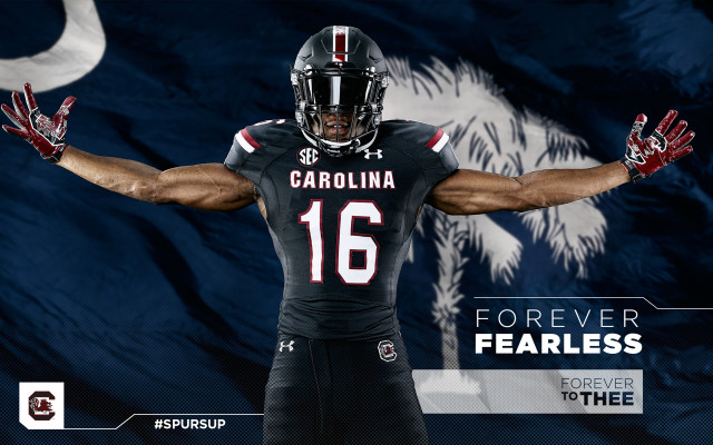 Football player arms outstretched flag free wallpaper for desktop - medium preview image