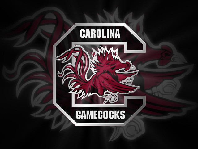 South carolina gamecocks logo black free wallpaper for desktop - medium preview image