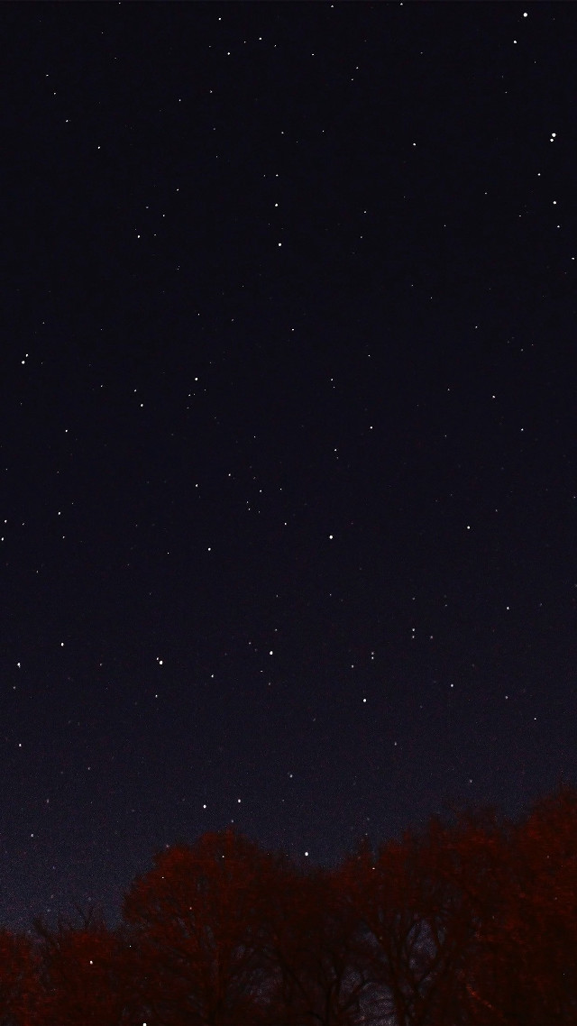 Night sky stars trees building free wallpaper for mobile - medium preview image