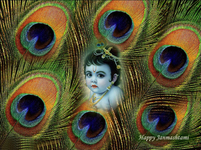 Child peacock feathers happy janmasan free wallpaper for desktop - medium preview image