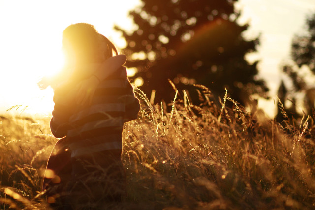Person standing field sun trees free wallpaper for desktop - medium preview image