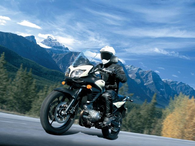 Man motorcycle road forest mountain free wallpaper for desktop - medium preview image