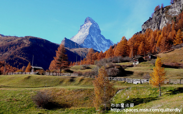 Snowcapped mountain grassy field trees free wallpaper for desktop - medium preview image