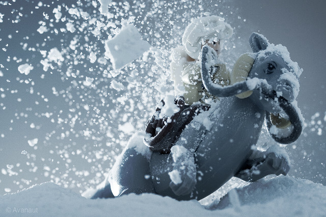 Elephant statue snow hat scarf free wallpaper for desktop - medium preview image