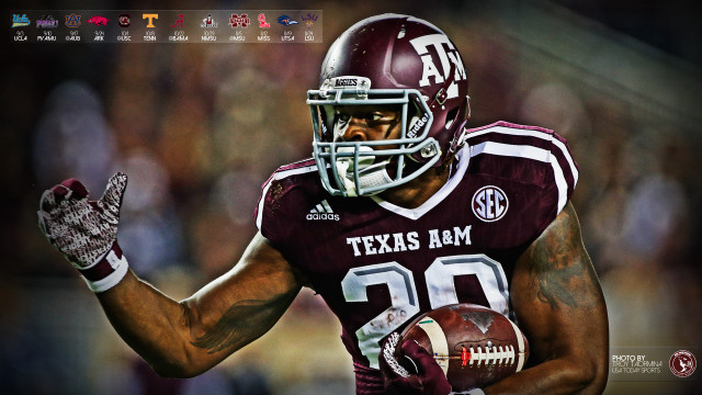 Football player holding ball glove free wallpaper for desktop - medium preview image