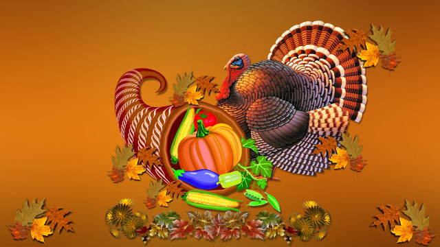 Turkey cornucopia pumpkin autumn folklore free wallpaper for desktop - medium preview image