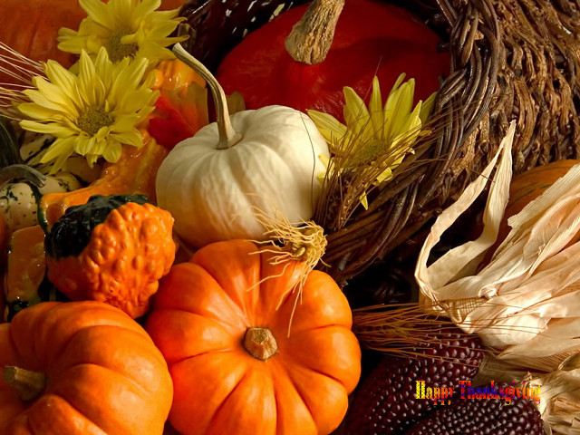 Pumpkins gourds table flowers basket free wallpaper for desktop - medium preview image