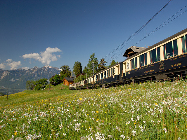 Train traveling lush green countryside free wallpaper for desktop - medium preview image