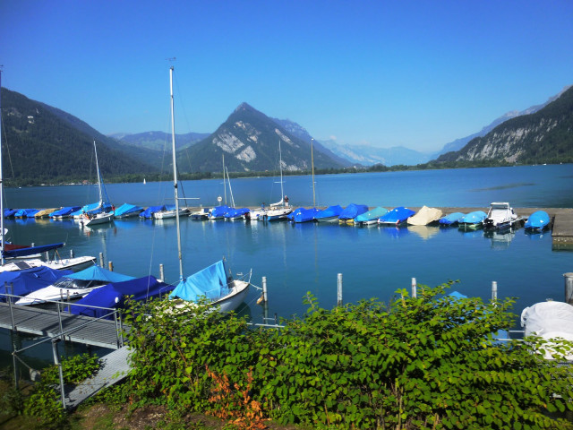 Boats water mountains bushes docked free wallpaper for desktop - medium preview image