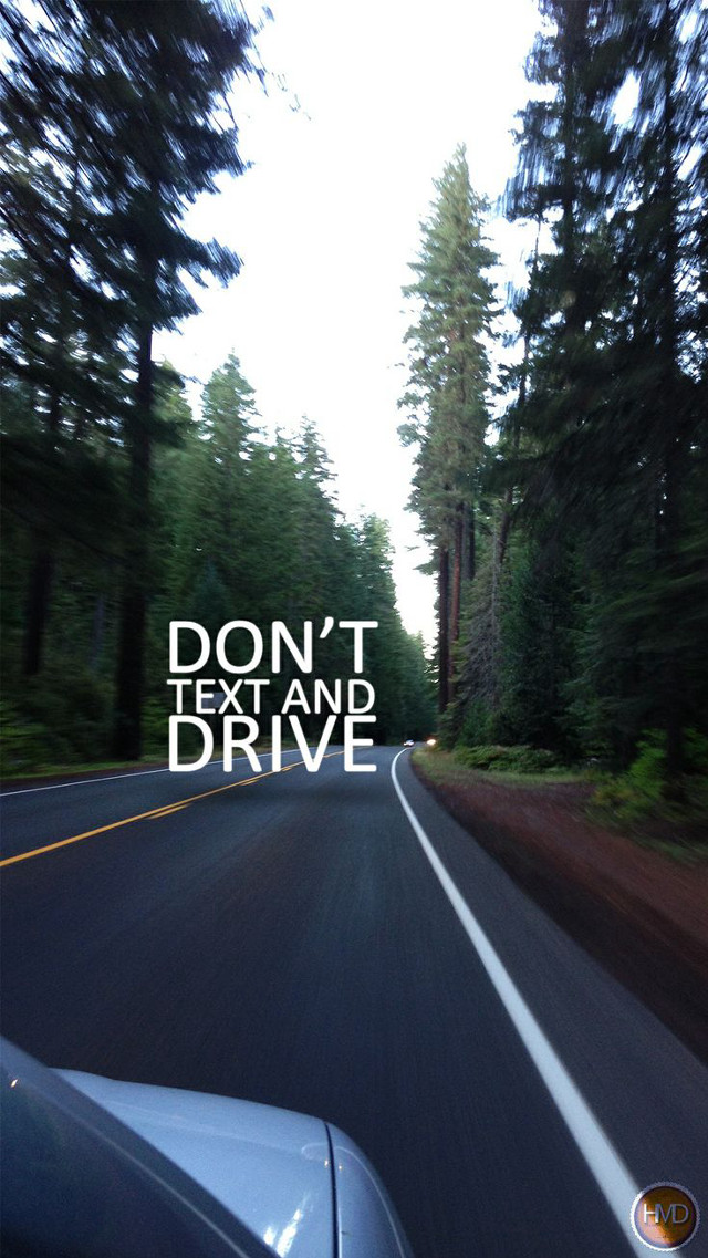 Car driving road forest trees free wallpaper for mobile - medium preview image