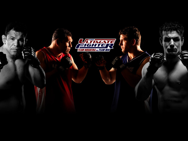 Men boxing gloves group standing free wallpaper for desktop - medium preview image