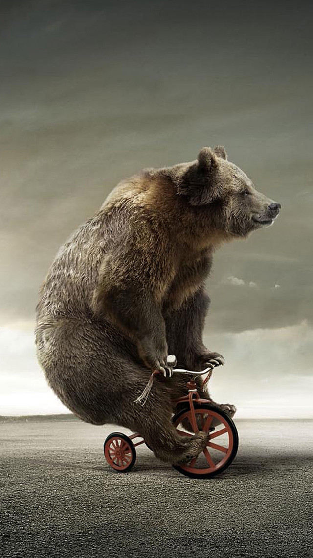 Bear riding tricycle cloudy sky free wallpaper for mobile - medium preview image