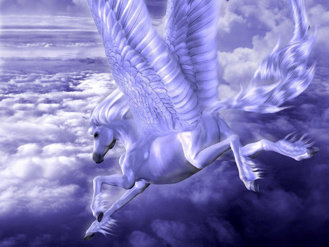 White horse wings flying sky free wallpaper for desktop - medium preview image