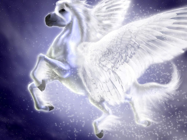 White horse flying wings stars free wallpaper for desktop - medium preview image