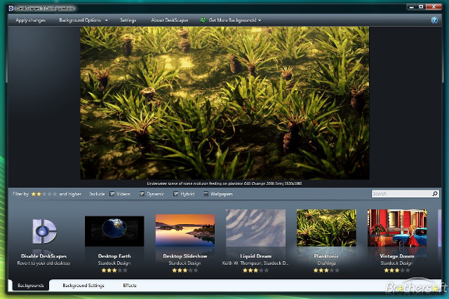 Video player blurry background plants free wallpaper for desktop - medium preview image