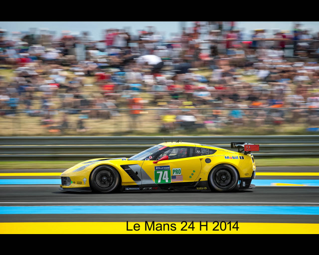 Yellow race car track crowd free wallpaper for desktop - medium preview image