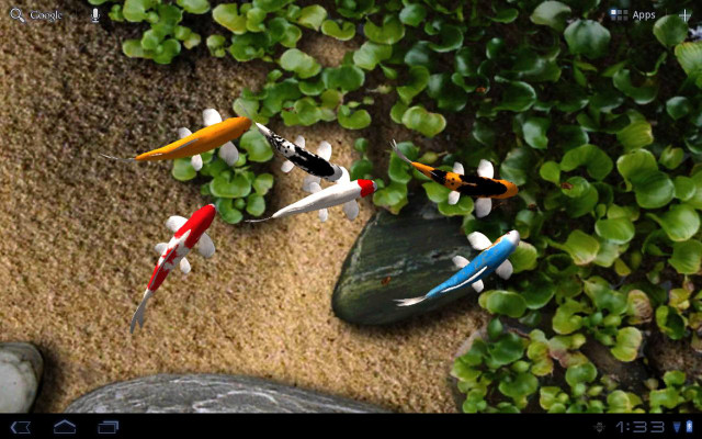 Lostfish fish pond plants rocks free wallpaper for desktop - medium preview image