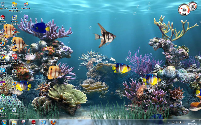 Computer fish corals keyboard screen free wallpaper for desktop - medium preview image