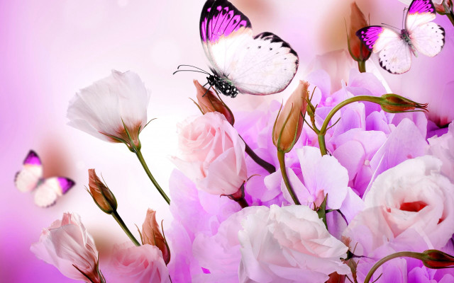 Flowers butterfly pink background white free wallpaper for desktop - medium preview image
