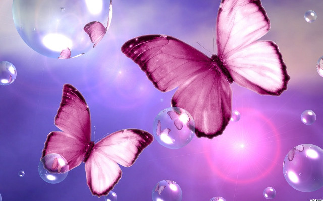 Butterflies bubbles flying purple background free wallpaper for desktop - medium preview image