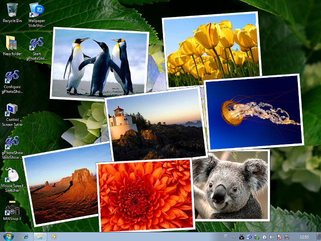 Animals plants window screenshot Windows7 free wallpaper for desktop - medium preview image