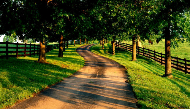 Dirt road fence trees grass #3 free wallpaper for desktop - medium preview image