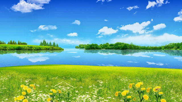Lake yellow flowers blue sky free wallpaper for desktop - medium preview image