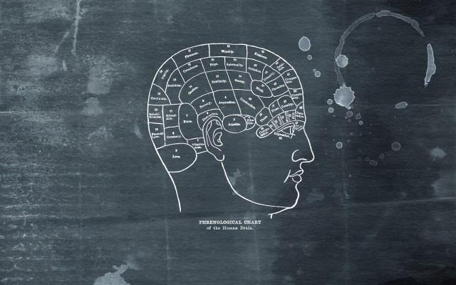 Brain map drawing head words free wallpaper for desktop - medium preview image