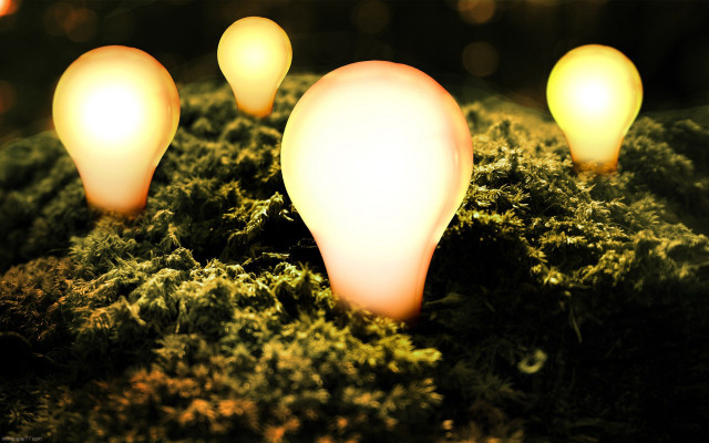 Light bulbs moss ground background free wallpaper for desktop - medium preview image