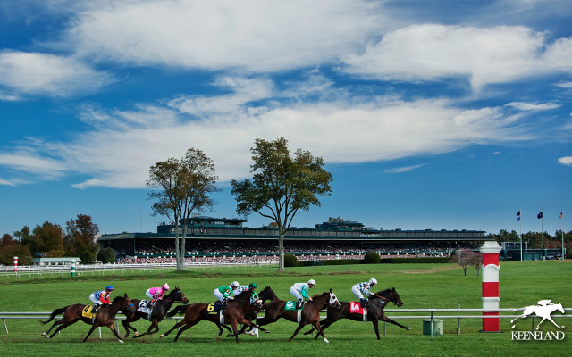 Horses racing track sky stadium free wallpaper for desktop - medium preview image
