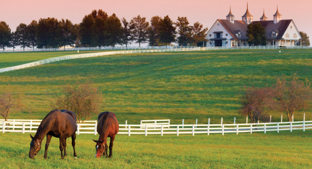 Horses grazing fence house landscape free wallpaper for desktop - medium preview image