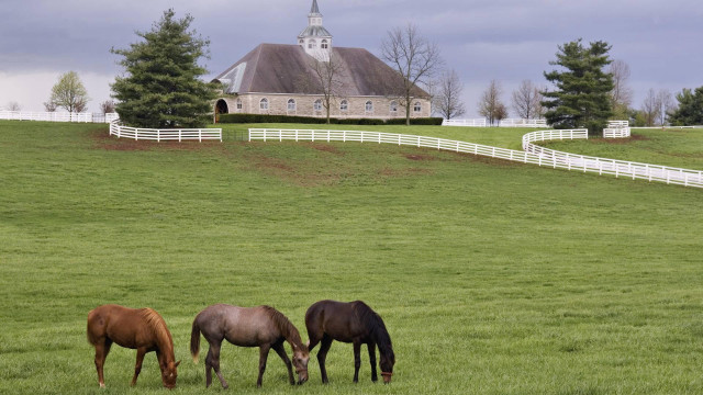 Horses grazing field church background free wallpaper for desktop - medium preview image
