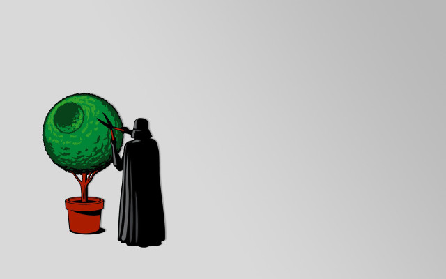 Person black cloak green tree free wallpaper for desktop - medium preview image