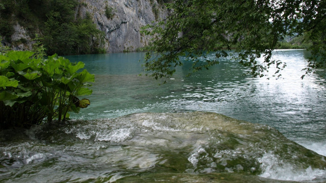 River waterfall tree background rock free wallpaper for desktop - medium preview image
