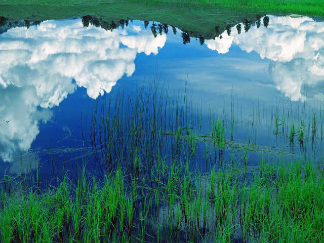 Large body water grass clouds free wallpaper for desktop - medium preview image