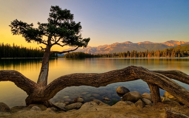 Tree lake mountains sunset dawn #3 free wallpaper for desktop - medium preview image