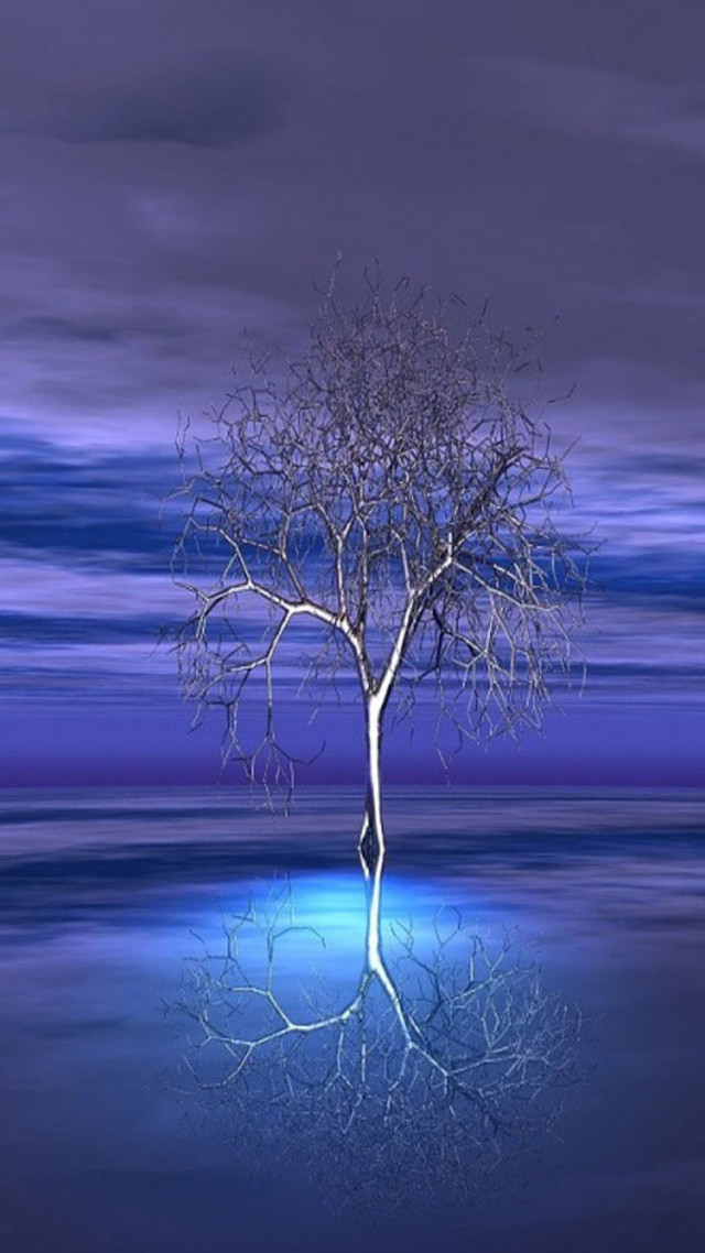 Lone tree reflection water nighttime free wallpaper for mobile - medium preview image