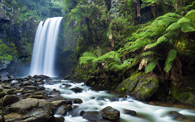 Waterfall forest rocks trees stream #8 free wallpaper for desktop - medium preview image
