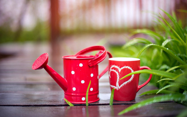 Red watering can heart wooden free wallpaper for desktop - medium preview image