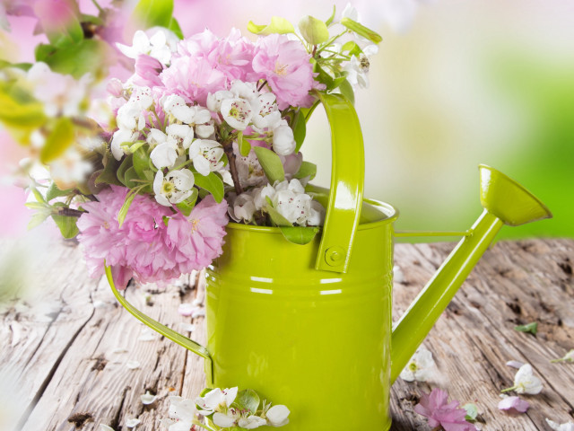 Watering can flowers table wooden free wallpaper for desktop - medium preview image