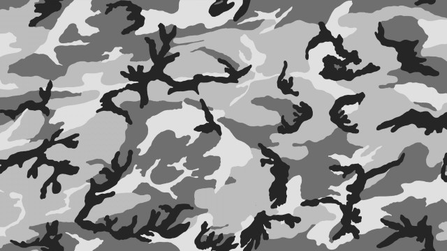Camouflage black white pattern surface free wallpaper for desktop - medium preview image