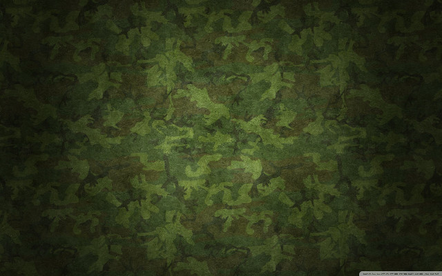 Green camouflage wallpaper leaves pattern free wallpaper for desktop - medium preview image