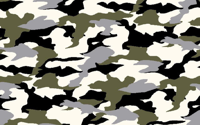 Camouflage black white gray pattern free wallpaper for desktop - medium preview image