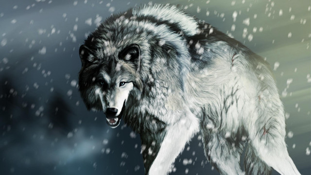 Wolf walking through snow night free wallpaper for desktop - medium preview image