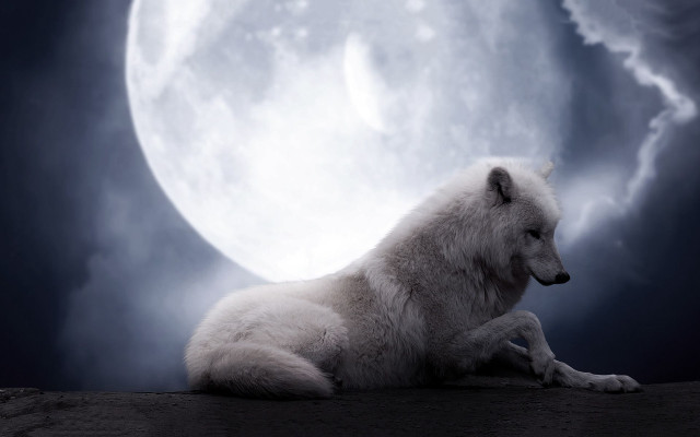White wolf rock full moon free wallpaper for desktop - medium preview image