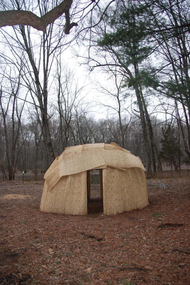 Hay structure forest trees branches free wallpaper for mobile - medium preview image