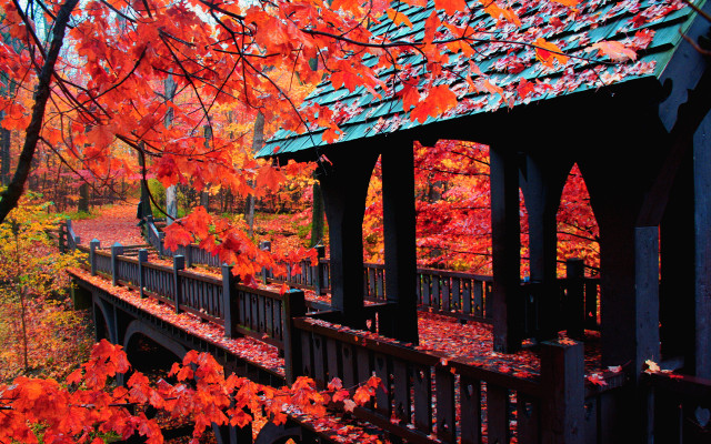 Gazebo fall foliage red leaves free wallpaper for desktop - medium preview image