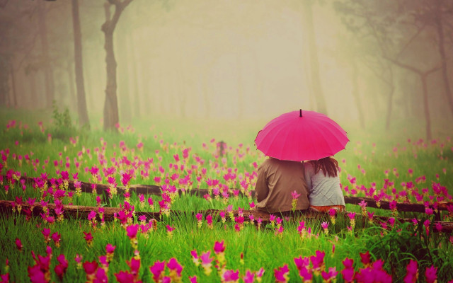 Two people bench field flowers free wallpaper for desktop - medium preview image